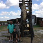 alligator-hunts