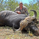 buffalo-hunt