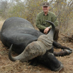 buffalo-hunt