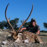 hunting-axis-deer