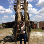 alligator-hunt
