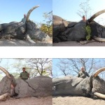 elephant-hunt