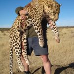 Leopard Hunt Namibia