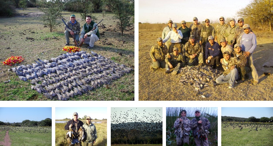 Bird Hunting Argentina
