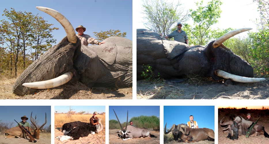 Hunting Botswana