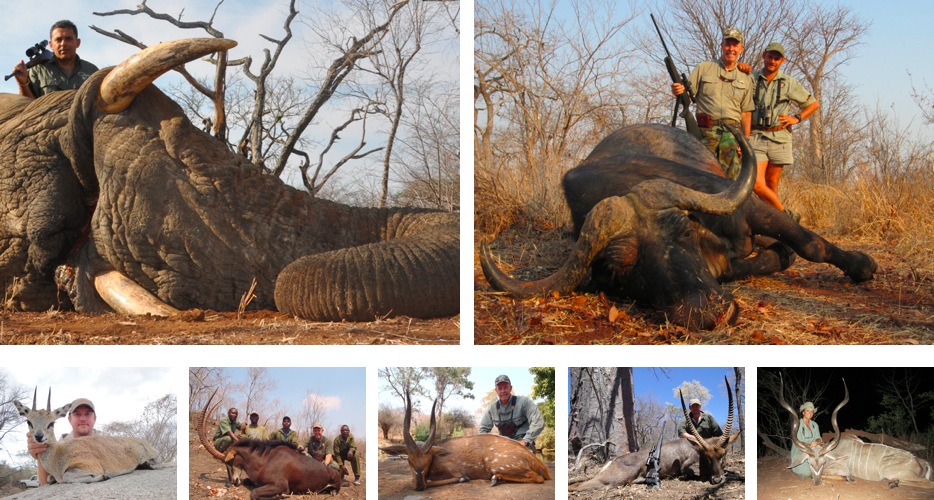 Hunting Zimbabwe
