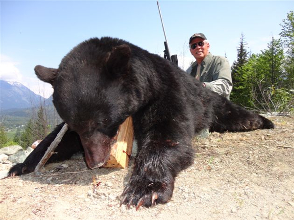 black-bear-hunts