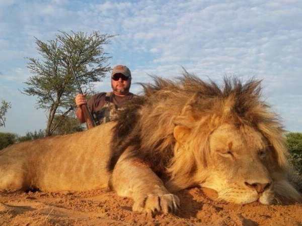 lion-hunt