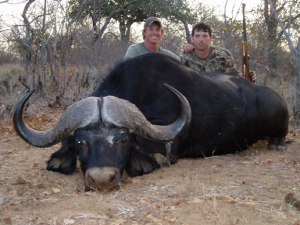 buffalo-hunt