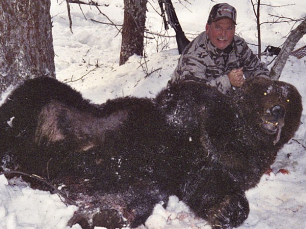 hunting-brown-bear