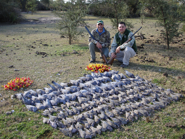 dove-hunting-argentina