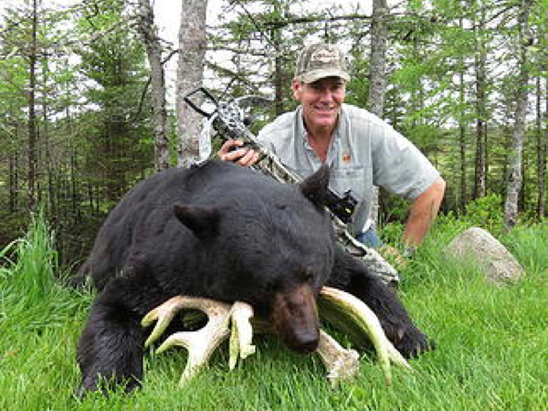 hunting-black-bear